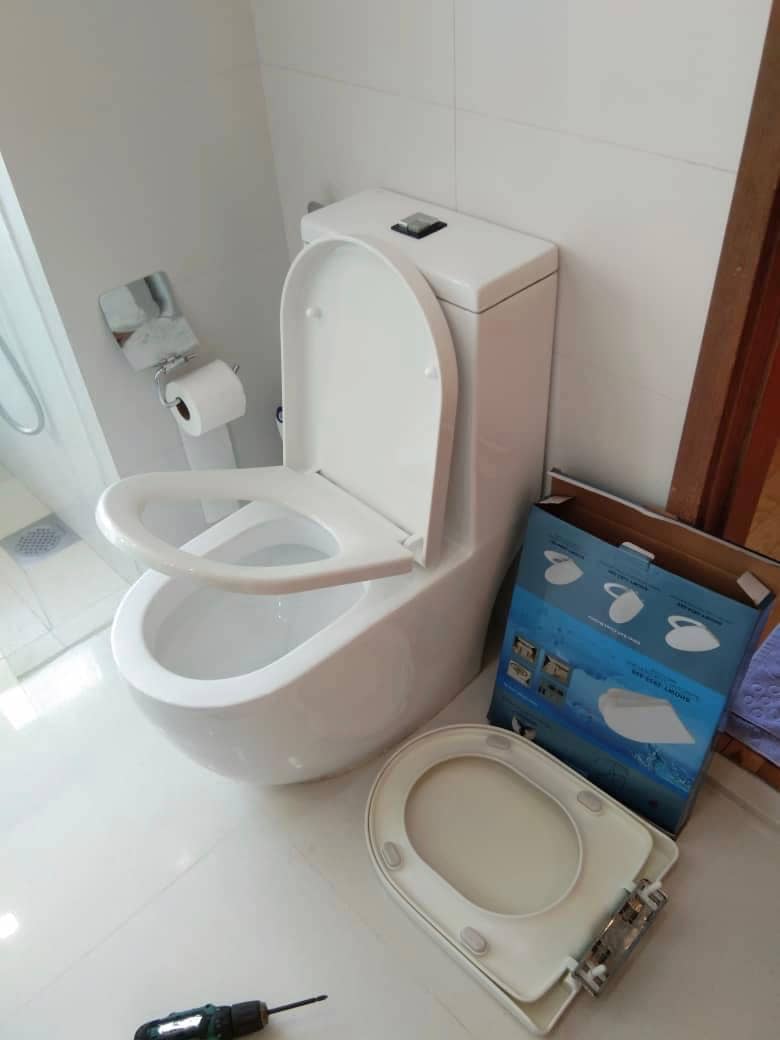 Replace Toilet Seat Cover In Amber Road The Seaview